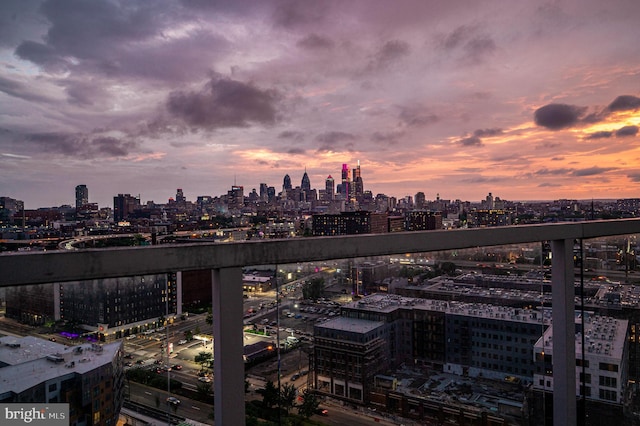 901 N Penn St Unit F2003, Philadelphia, PA 19123 - view of city skyline