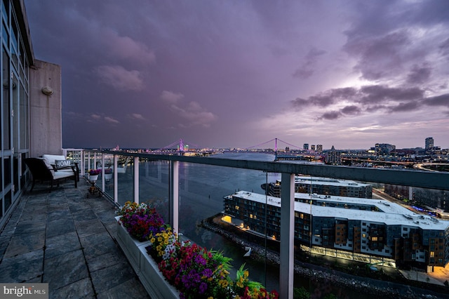 901 N Penn St Unit F2003, Philadelphia, PA 19123 - balcony with a city view and a water view