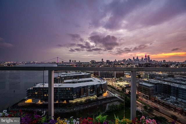 901 N Penn St Unit F2003, Philadelphia, PA 19123 - dock featuring a skyline view and a balcony
