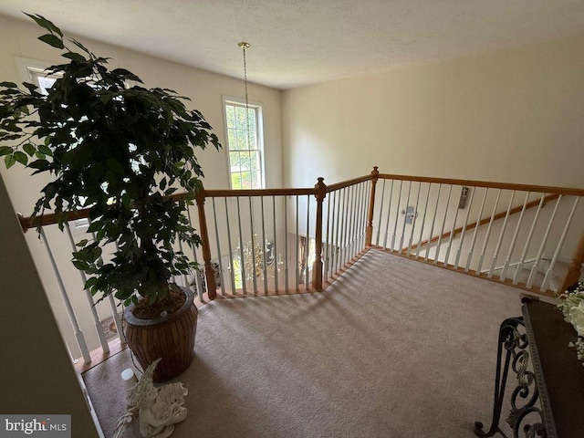 530 Glenhaven Dr, Glenshaw, PA 15116 - hallway with carpet floors
