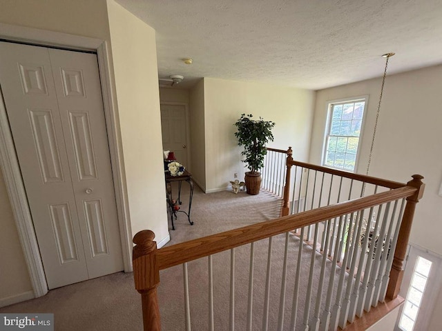530 Glenhaven Dr, Glenshaw, PA 15116 - hallway featuring an upstairs landing, carpet, baseboards, and a textured ceiling