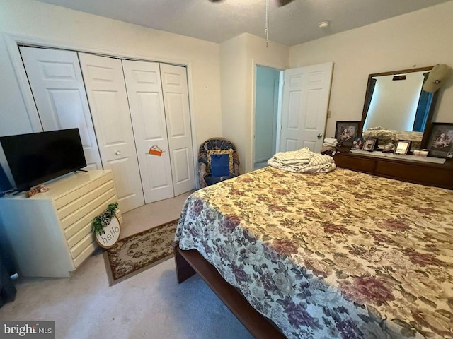 530 Glenhaven Dr, Glenshaw, PA 15116 - carpeted bedroom with a closet