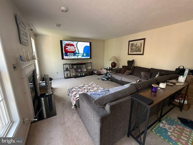 530 Glenhaven Dr, Glenshaw, PA 15116 - carpeted living room with a glass covered fireplace