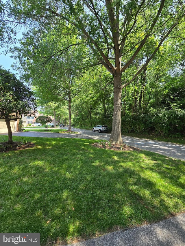 721 Kincaid Mills Ln, Wallingford, PA 19086 - view of grassy yard