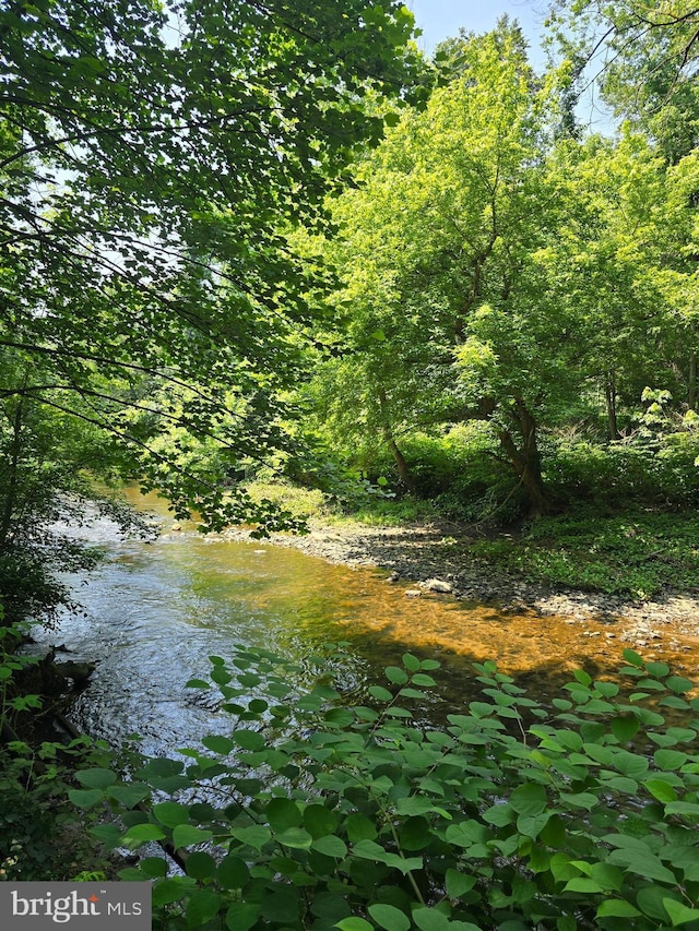 721 Kincaid Mills Ln, Wallingford, PA 19086 - view of woods