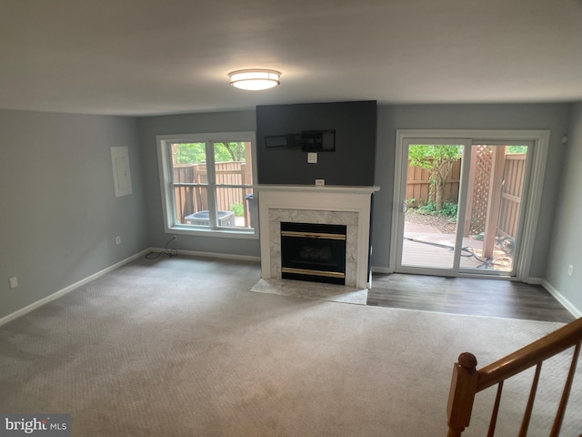 8726 Wadebrook Ter, Springfield, VA 22153 - unfurnished living room with baseboards, a premium fireplace, and carpet flooring
