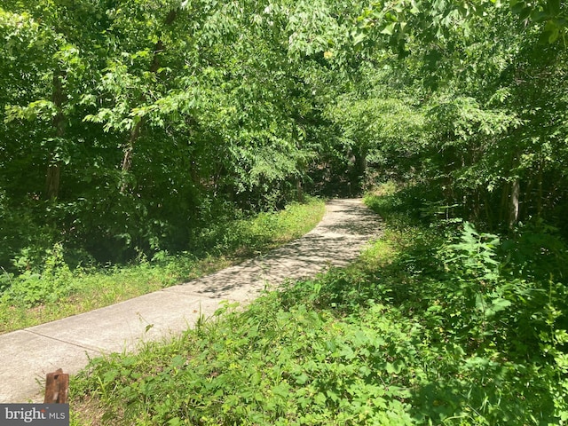 8726 Wadebrook Ter, Springfield, VA 22153 - view of road