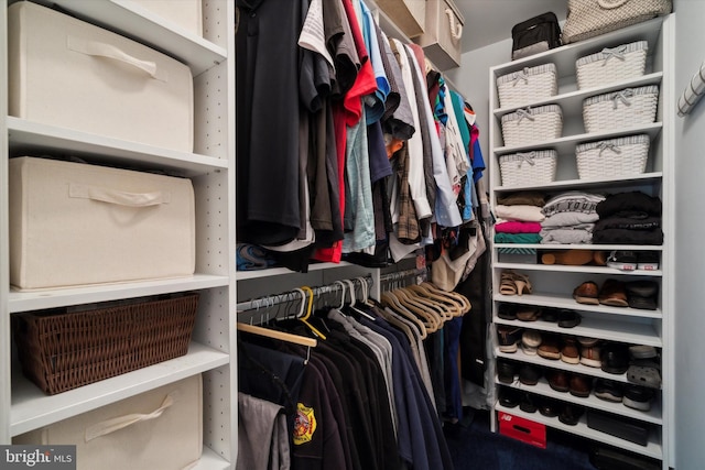 2009 Creekside Ct Unit 28, Warrington, PA 18976 - view of walk in closet