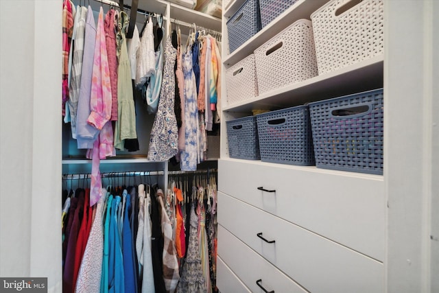 2009 Creekside Ct Unit 28, Warrington, PA 18976 - view of spacious closet