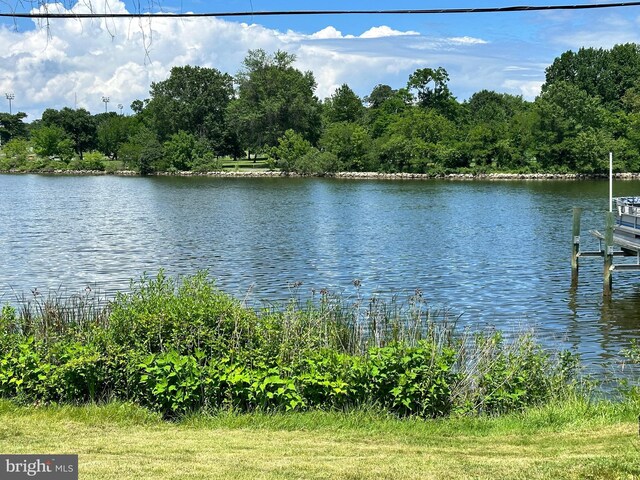 7717 Fairgreen Rd, Dundalk, MD 21222 - water view with a boat dock