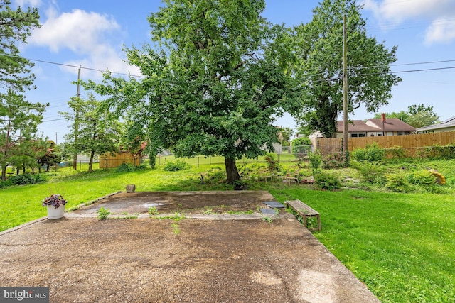 2000 Longview Ct, Baltimore, MD 21237 - view of yard