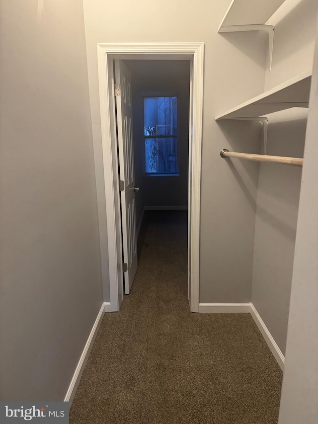 2732 Riggs Ave, Baltimore, MD 21216 - hall featuring carpet floors and baseboards