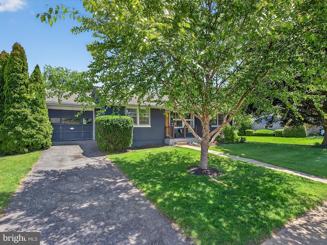 303 Stevens Ave, Reading, PA 19608 - view of property hidden behind natural elements featuring asphalt driveway, a front yard, and an attached garage