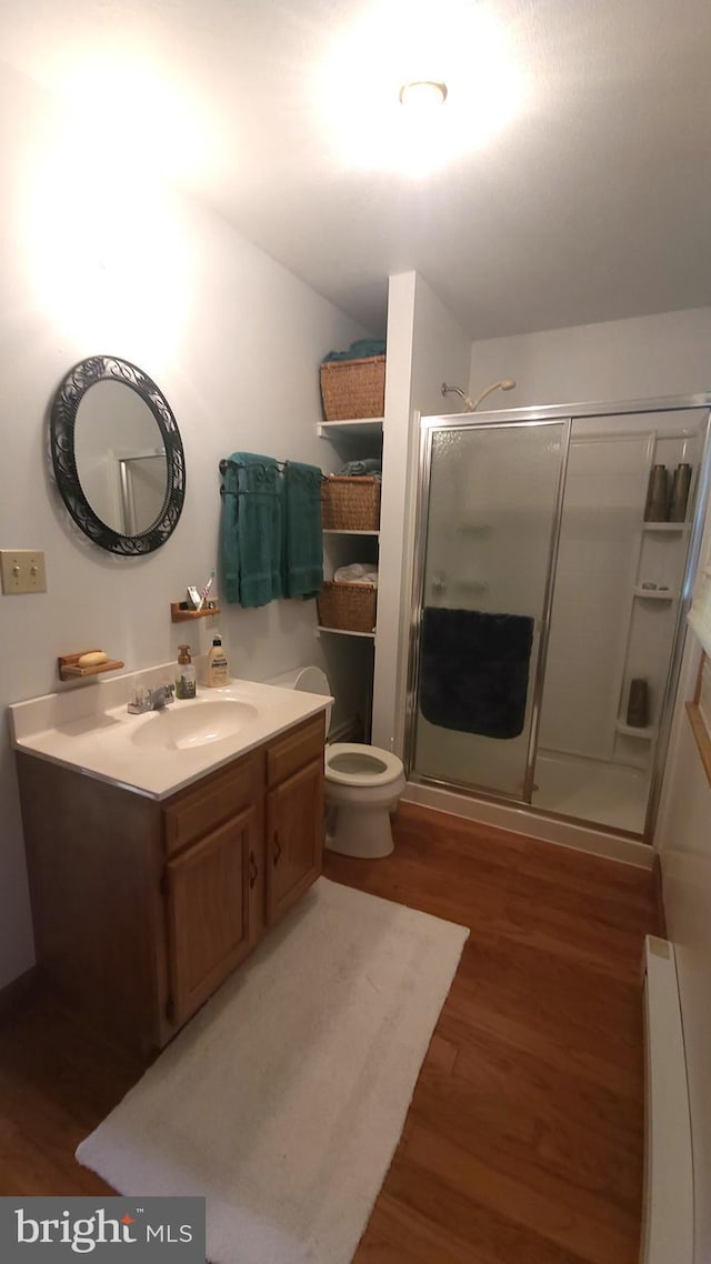 1725 Loop Rd, Franklin, WV 26807 - full bathroom featuring a shower stall, wood finished floors, vanity, and toilet
