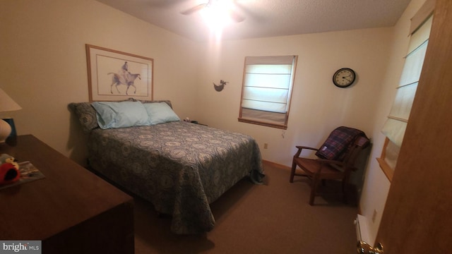 1725 Loop Rd, Franklin, WV 26807 - bedroom featuring carpet and ceiling fan