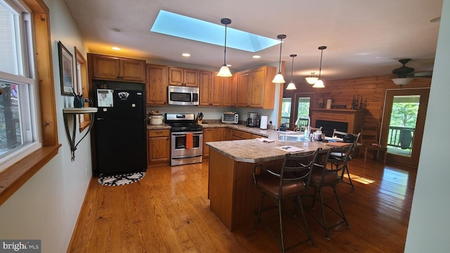 1725 Loop Rd, Franklin, WV 26807 - kitchen with stainless steel appliances, a peninsula, a skylight, light wood-type flooring, and healthy amount of natural light
