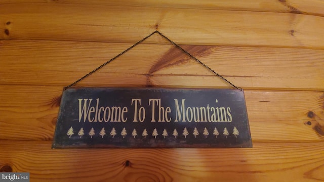 1725 Loop Rd, Franklin, WV 26807 - detailed view