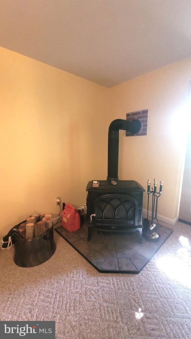 1725 Loop Rd, Franklin, WV 26807 - detailed view of a wood stove, carpet, and baseboards