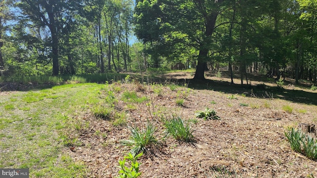 1725 Loop Rd, Franklin, WV 26807 - view of local wilderness