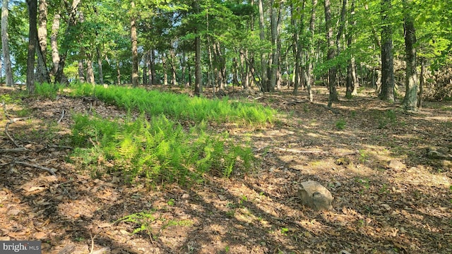1725 Loop Rd, Franklin, WV 26807 - view of nature