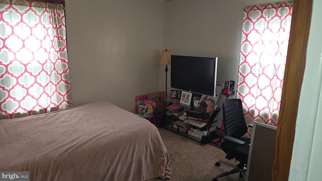 2103 W Trindle Rd, Carlisle, PA 17013 - view of carpeted bedroom
