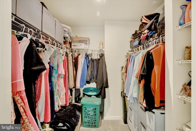 182 Mohegan Dr, Havre De Grace, MD 21078 - spacious closet with carpet floors