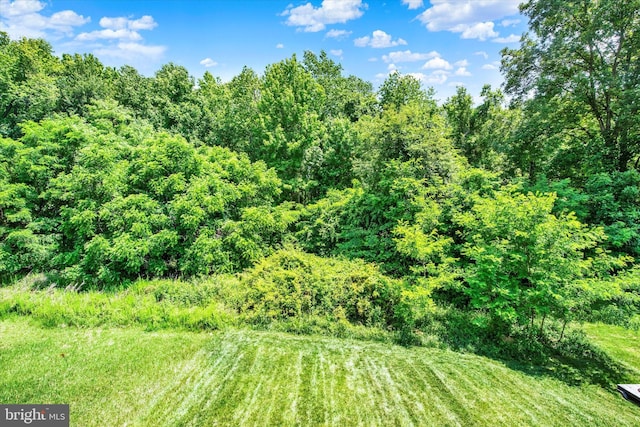 182 Mohegan Dr, Havre De Grace, MD 21078 - view of yard with a forest view
