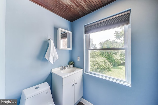 5016 56th Ave, Hyattsville, MD 20781 - bathroom with vanity, plenty of natural light, and wooden ceiling