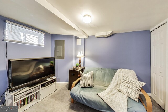 5016 56th Ave, Hyattsville, MD 20781 - living area with carpet floors and electric panel