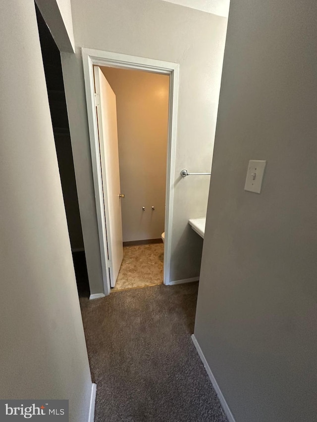 7980 Audubon Ave Unit C3, Alexandria, VA 22306 - hall featuring carpet flooring and baseboards
