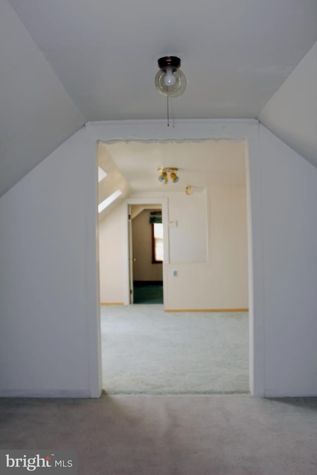 34 Andrew St, Hamilton, NJ 08610 - additional living space with carpet and vaulted ceiling