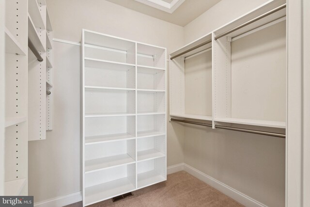 24 Tocati St, Thurmont, MD 21788 - spacious closet with carpet flooring