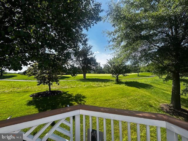 5438 Sherman Oaks Ct, Haymarket, VA 20169 - view of green lawn
