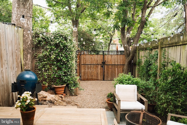 708 9th St SE, Washington, DC 20003 - view of fenced backyard