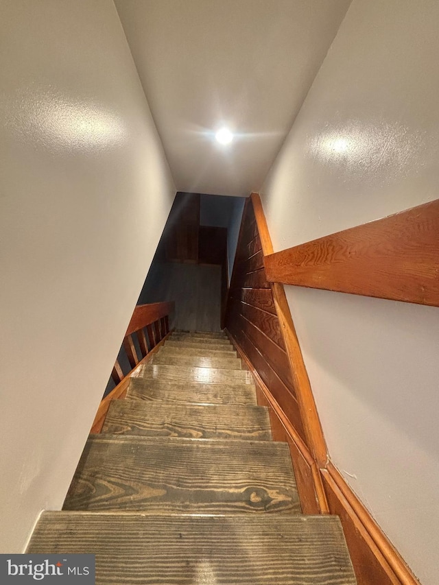 6226 Cardiff St, Philadelphia, PA 19149 - stairway with wood finished floors