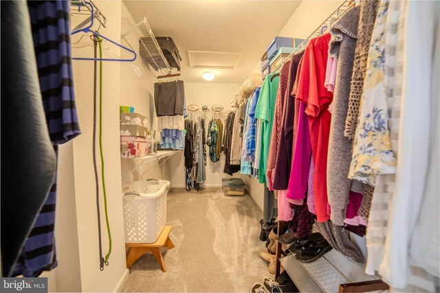 854 Hinchley Run, West Chester, PA 19382 - spacious closet with attic access and carpet flooring