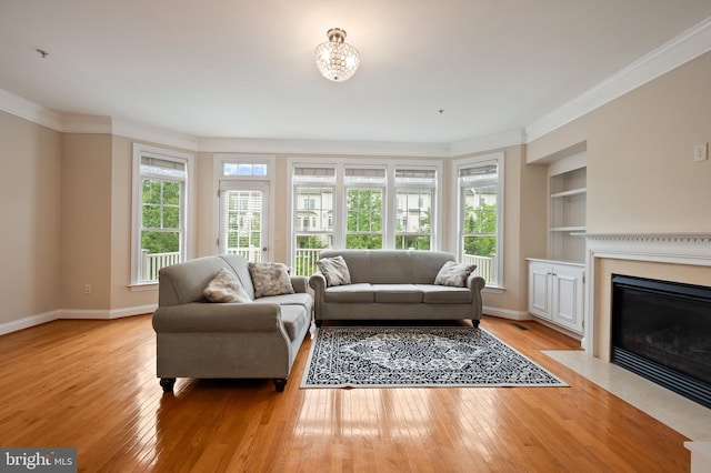 9769 June Flowers Way, Laurel, MD 20723 - living room with light wood-type flooring, ornamental molding, built in shelves, and a premium fireplace
