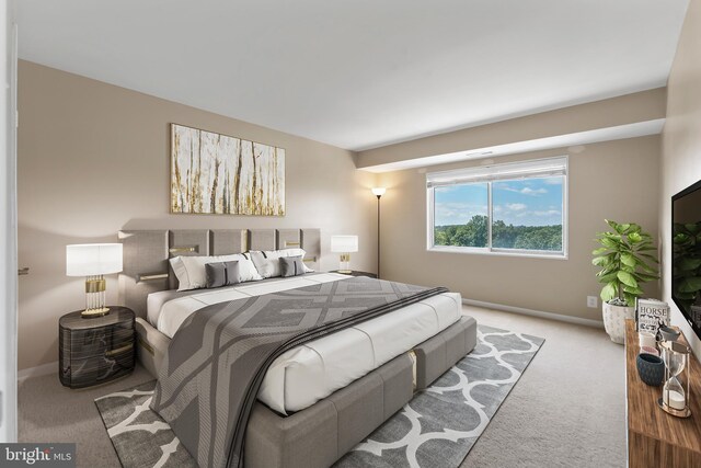 12001 Old Columbia Pike Unit 709, Silver Spring, MD 20904 - bedroom featuring carpet floors and baseboards