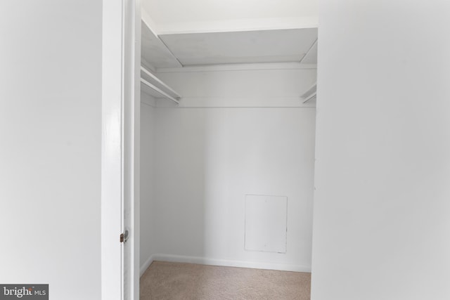 12001 Old Columbia Pike Unit 709, Silver Spring, MD 20904 - spacious closet with carpet