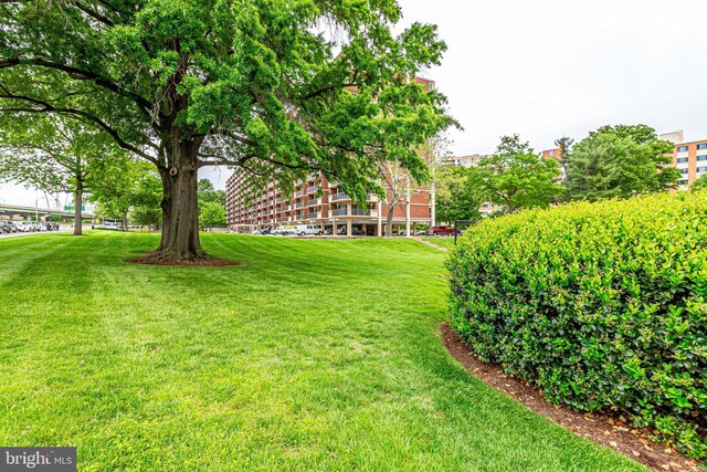 1300 Army Navy Dr S Unit 227, Arlington, VA 22202 - view of grassy yard