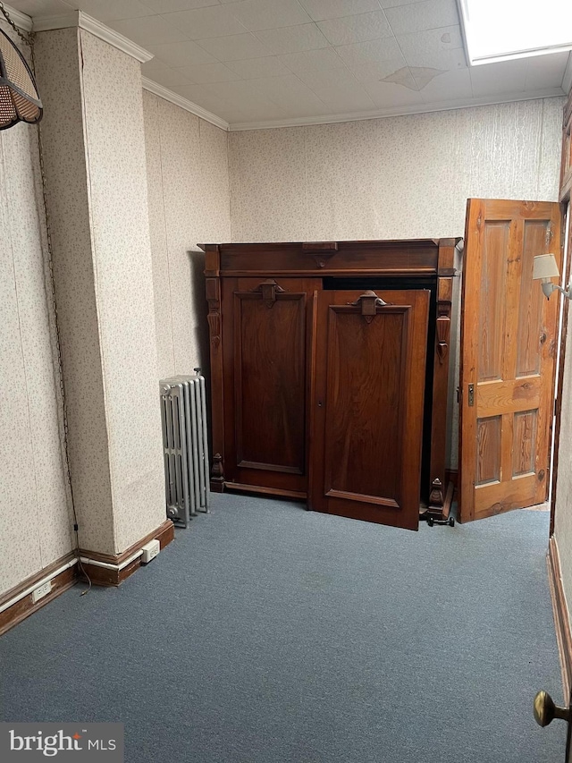1215 Cleveland St, Baltimore, MD 21230 - detailed view of wallpapered walls, radiator, crown molding, and carpet floors
