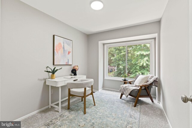 2825 Cambridge Dr, Woodbridge, VA 22192 - office with baseboards and carpet flooring