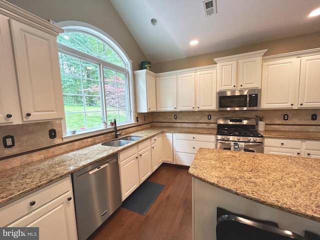 25 Baldwin Cir, Glenmoore, PA 19343 - kitchen featuring appliances with stainless steel finishes, lofted ceiling, dark wood-type flooring, tasteful backsplash, and light stone countertops