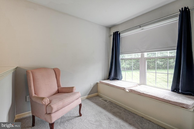 66 Light Farm Dr, Cochranville, PA 19330 - sitting room with carpet and baseboards