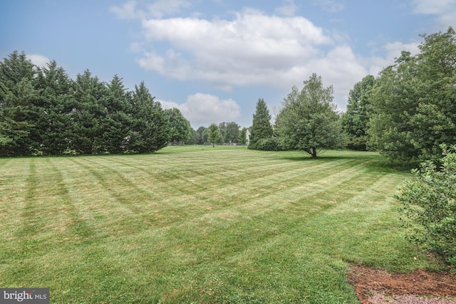 66 Light Farm Dr, Cochranville, PA 19330 - view of green lawn