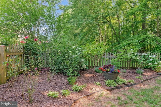 6943 Deer Run Dr, Alexandria, VA 22306 - view of yard