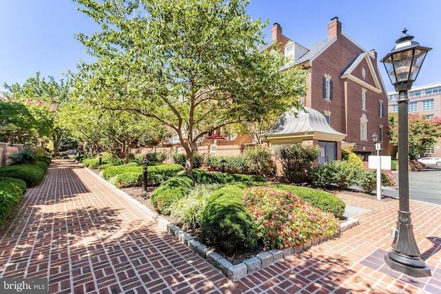 6943 Deer Run Dr, Alexandria, VA 22306 - view of property's community