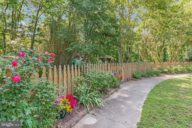 6943 Deer Run Dr, Alexandria, VA 22306 - view of yard