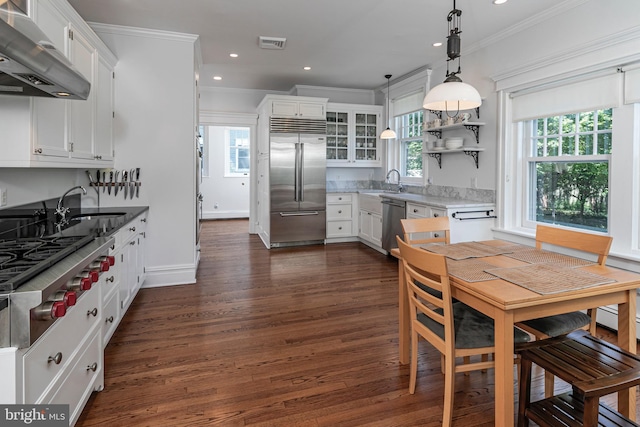 3 Evelyn Pl, Princeton, NJ 08540 - kitchen featuring appliances with stainless steel finishes, under cabinet range hood, ornamental molding, white cabinets, and dark wood finished floors