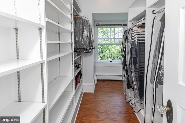 3 Evelyn Pl, Princeton, NJ 08540 - walk in closet with a baseboard radiator and dark wood-type flooring